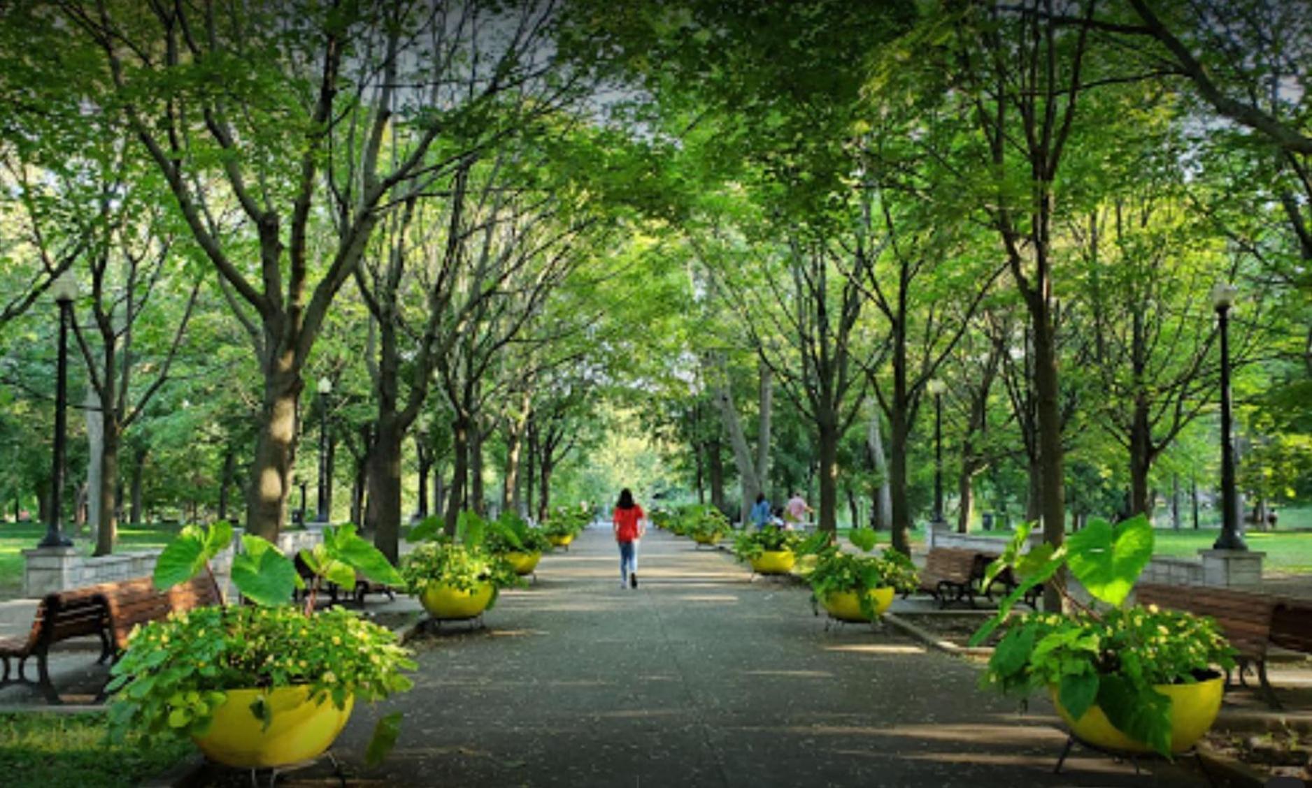 Chez Mont Royal Apartments Montreal Bagian luar foto